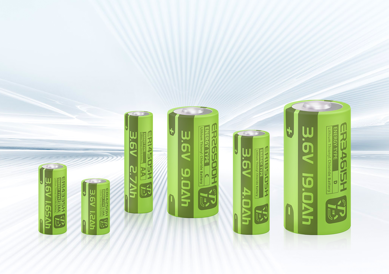 ENERGY TYPE - ER Li-SOCl₂ Battery