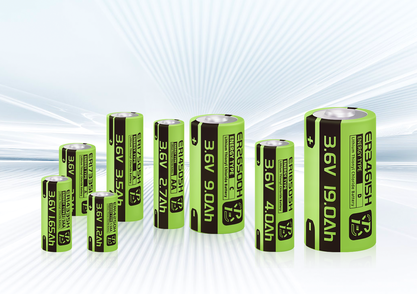 PSY-ENERGY TYPE - ER Li-SOCl₂ Battery