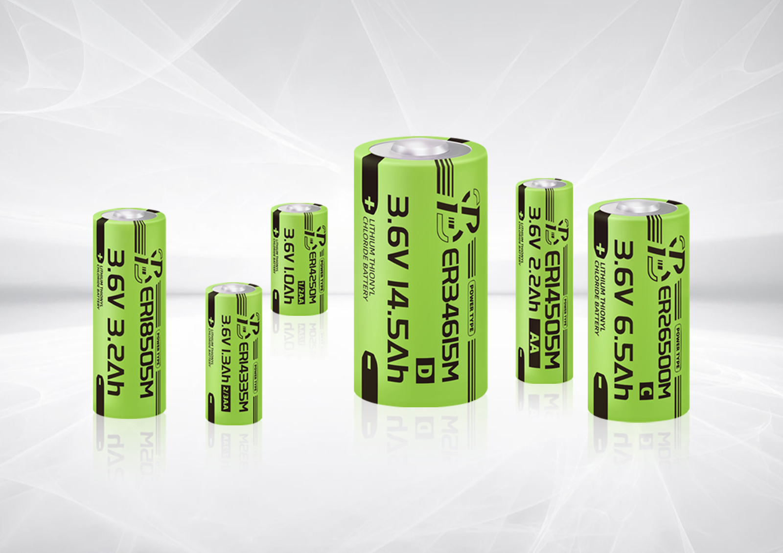 PSY-POWER TYPE - ER Li-SOCl₂ Battery